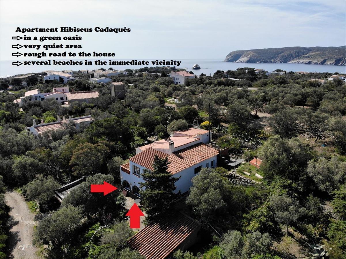 Apartment Hibiscus Cadaqués Dış mekan fotoğraf